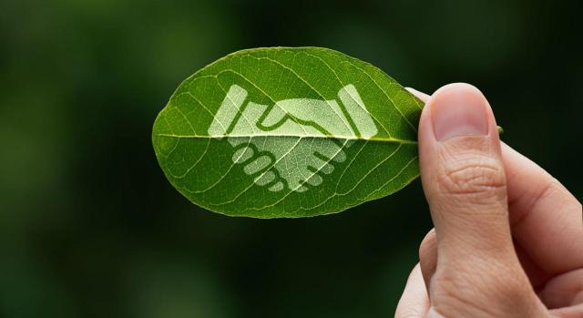 Propuestas conjuntas para la revisión y simplificación de las NEIS. Imagen de hoja verde con un logo dibujado